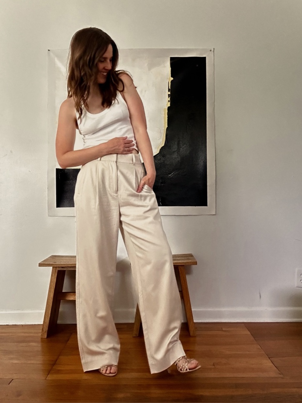 Everlane the Draper pleated pant - regular